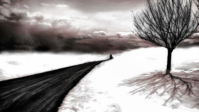 A lone tree casts a shadow on a snowy landscape with a dark road.