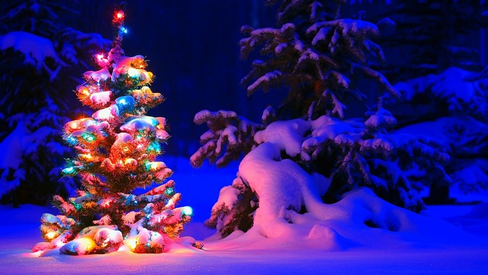 Snowy Christmas Tree with Colorful Lights at Night