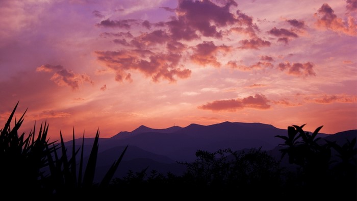 Purple mountains at sunset with clouds and silhouetted plants