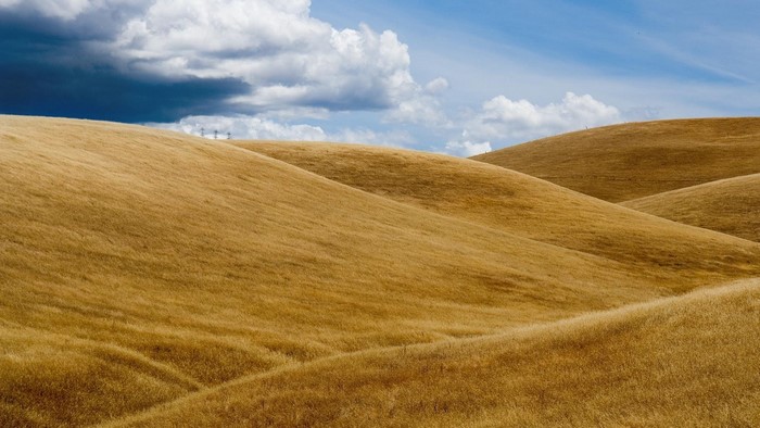 Golden Hills Under Cloudy Sky