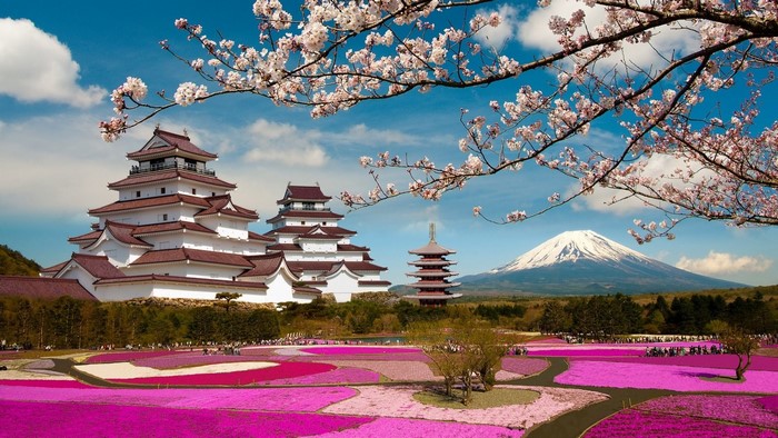 Japanese Castle and Mount Fuji with Cherry Blossoms