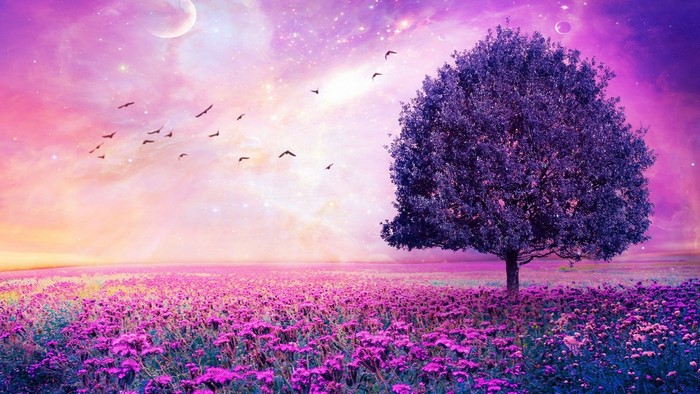 Purple flowers field with a tree and birds