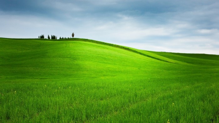 Green rolling hills landscape with trees