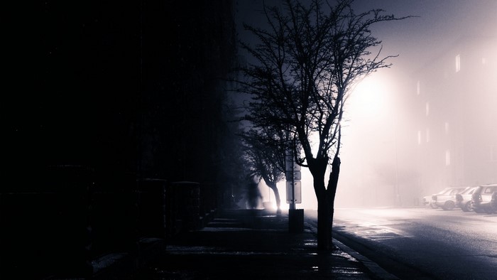 Lost in the Shadows