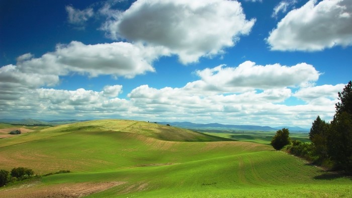Rolling green hills under a cloudy blue sky