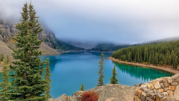 Misty Mountain Forest Lake