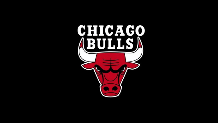 Chicago Bulls Logo