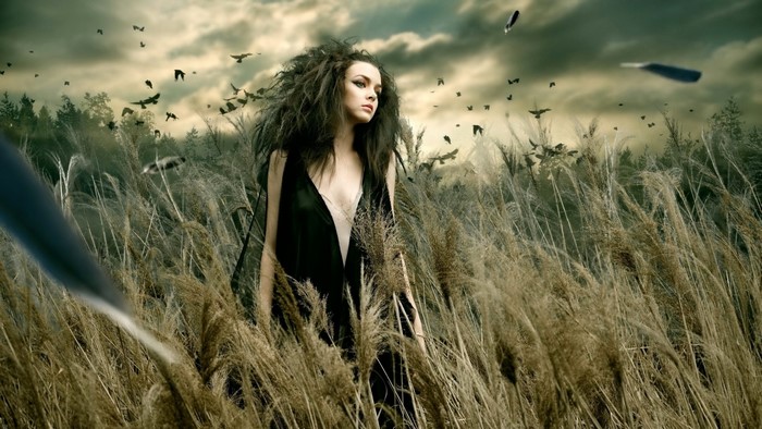 Girl in black dress in a field with birds