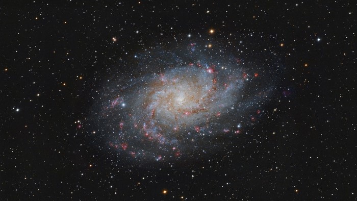 Spiral Galaxy M101
