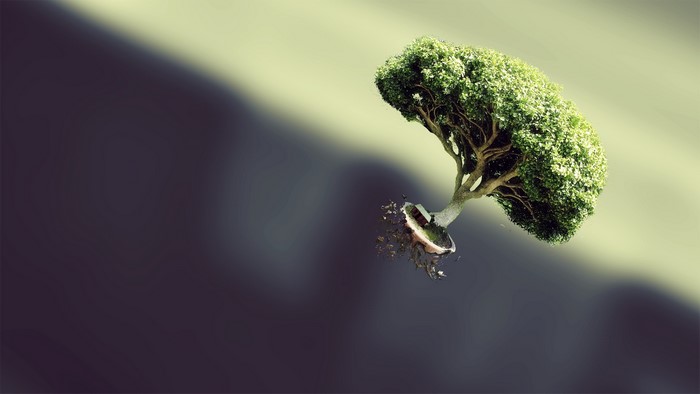 Floating Bonsai Tree with Detaching Roots