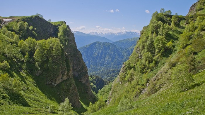 Green Valley with Mountains