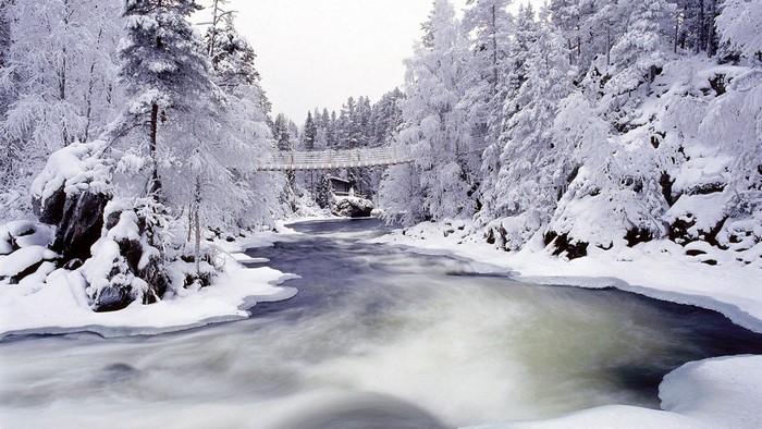 Snowy forest with a river and a bridge