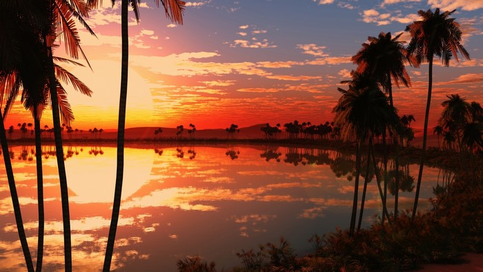 Palm Trees Reflecting in Lake at Sunset