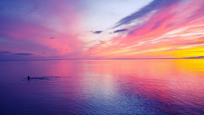 Person swimming in colorful sunset over calm water