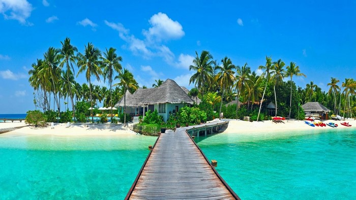 Tropical Island Resort with Palm Trees and Turquoise Water