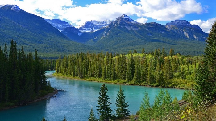 River and Mountains with Forest