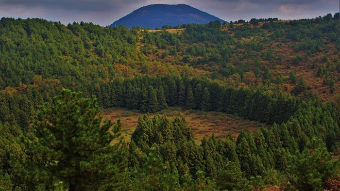Volcanic Crater Landscape with Forest and Mountain