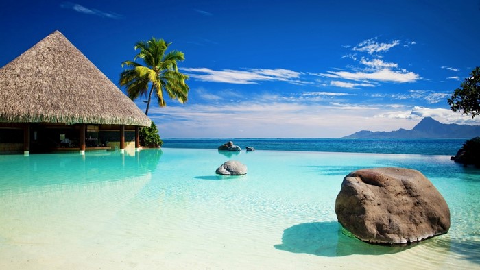Tropical resort with thatched hut and infinity pool