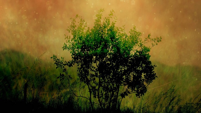 Soft Nature Art with Tree and Grass