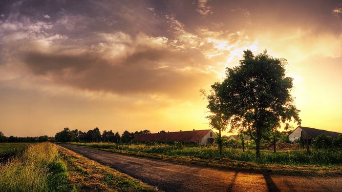 Farmland at Sunset