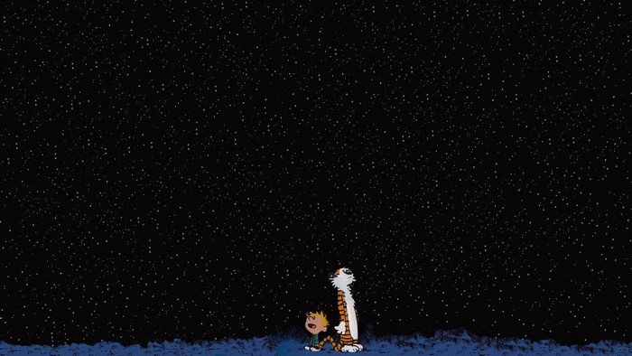 Calvin and Hobbes looking at a starry night