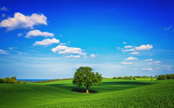 Green rolling hills under a blue sky with clouds