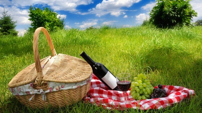 Picnic basket with wine and grapes on grass