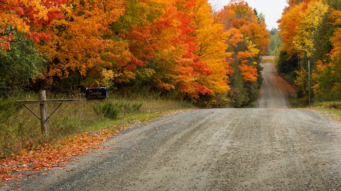 Autumn Road with Colorful Trees and Mailbox