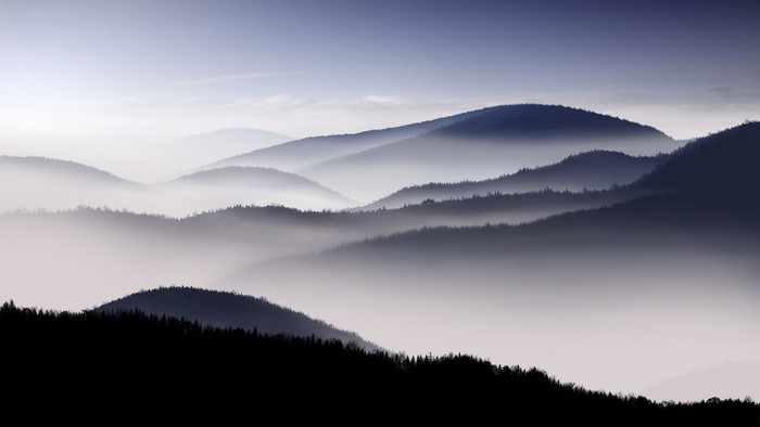 Dark Forest Mist Mountains