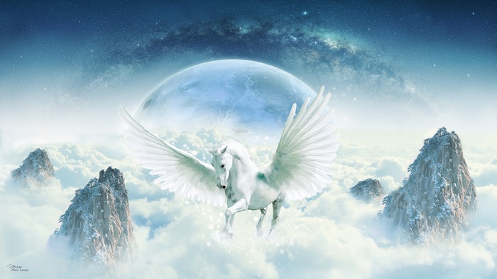 Pegasus Guardian 4K