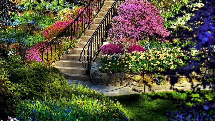Colorful flower garden with stone stairs