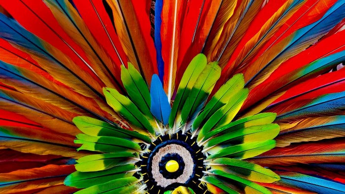Close-up of a colorful feather headdress