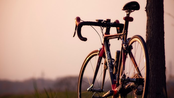 BMC Pro Machine Road Bike Leaning Against Tree