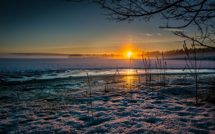 Winter sunset over a frozen lake with reeds