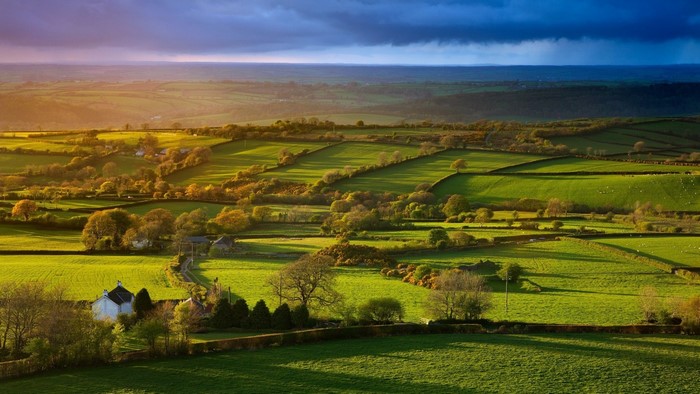 Green fields at dawn with dramatic sky