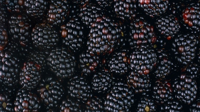 Close-up of fresh blackberries
