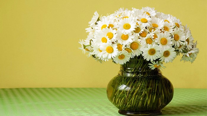 Bouquet of Daisies in a Glass Vase