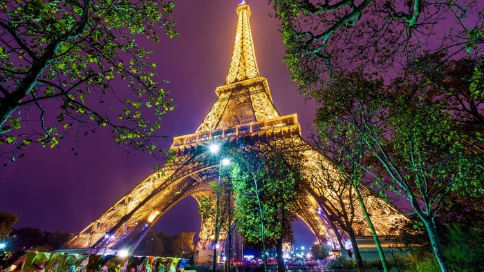 Eiffel Tower illuminated at night