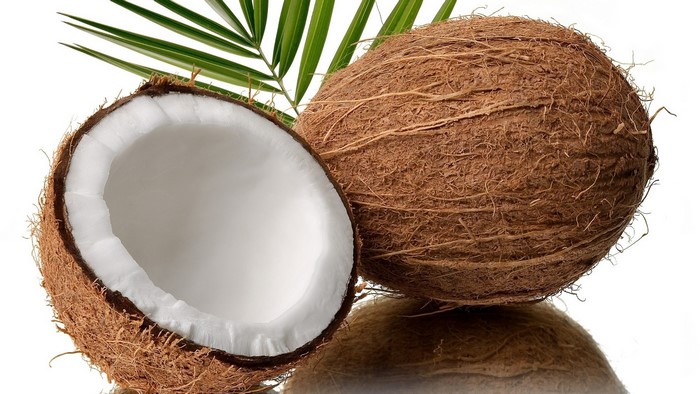 Coconuts and Palm Leaf