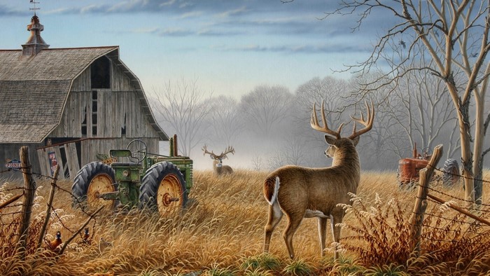Deer near an old barn with tractors