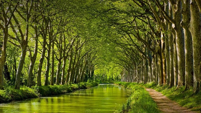 Canal du Midi, Toulouse, France