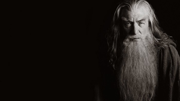 Gandalf from The Lord of the Rings