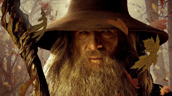 Gandalf the Grey from The Lord of the Rings
