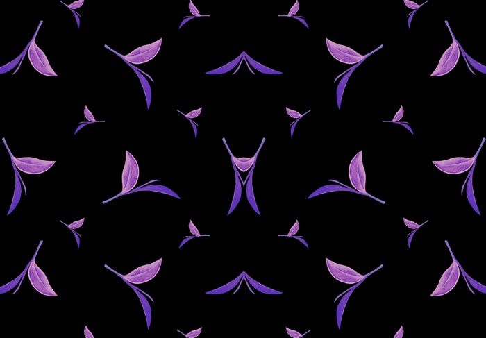 Violet leaves on a black background