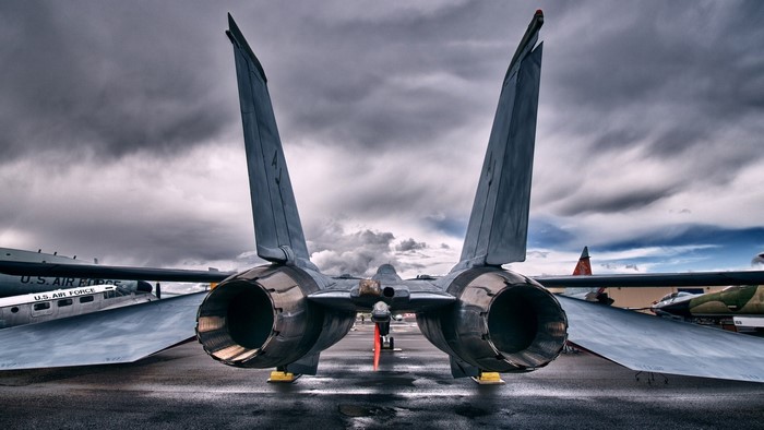 Grumman F-14 Tomcat rear view