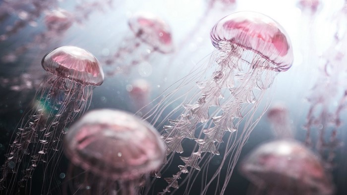 Pink Jellyfish Underwater Digital Artwork