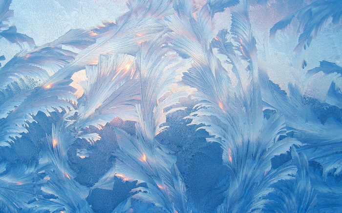 Frost patterns on a window