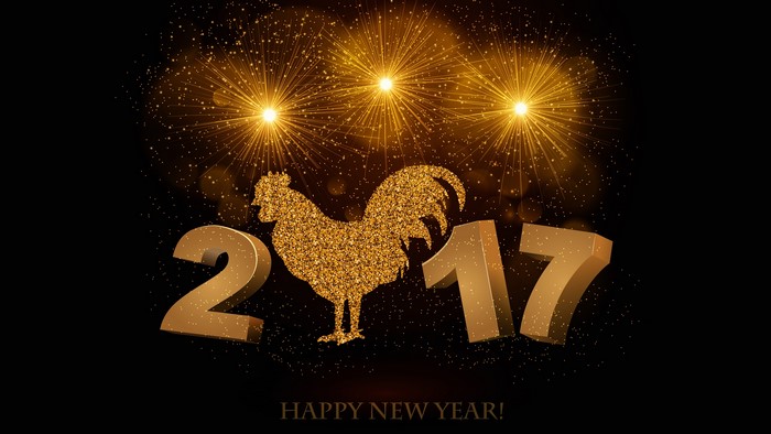 Happy New Year 2017 Rooster Fireworks