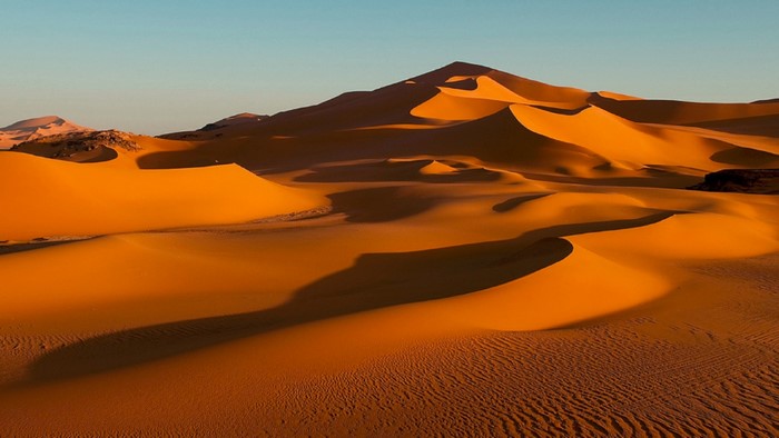 Sahara Desert Golden Sand Dunes