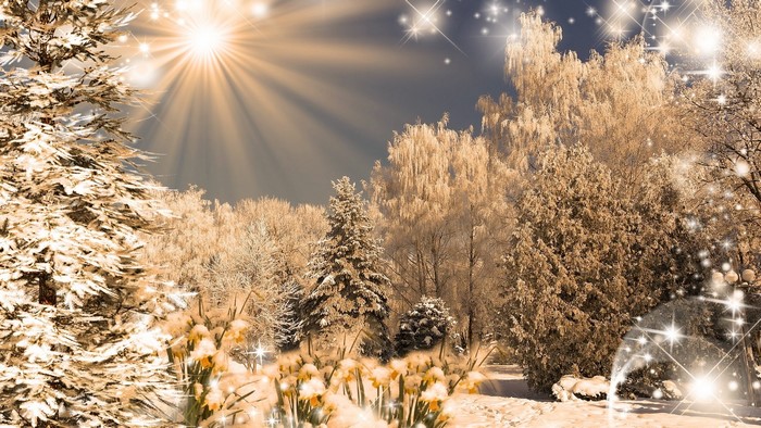 Winter forest with sun rays and snow